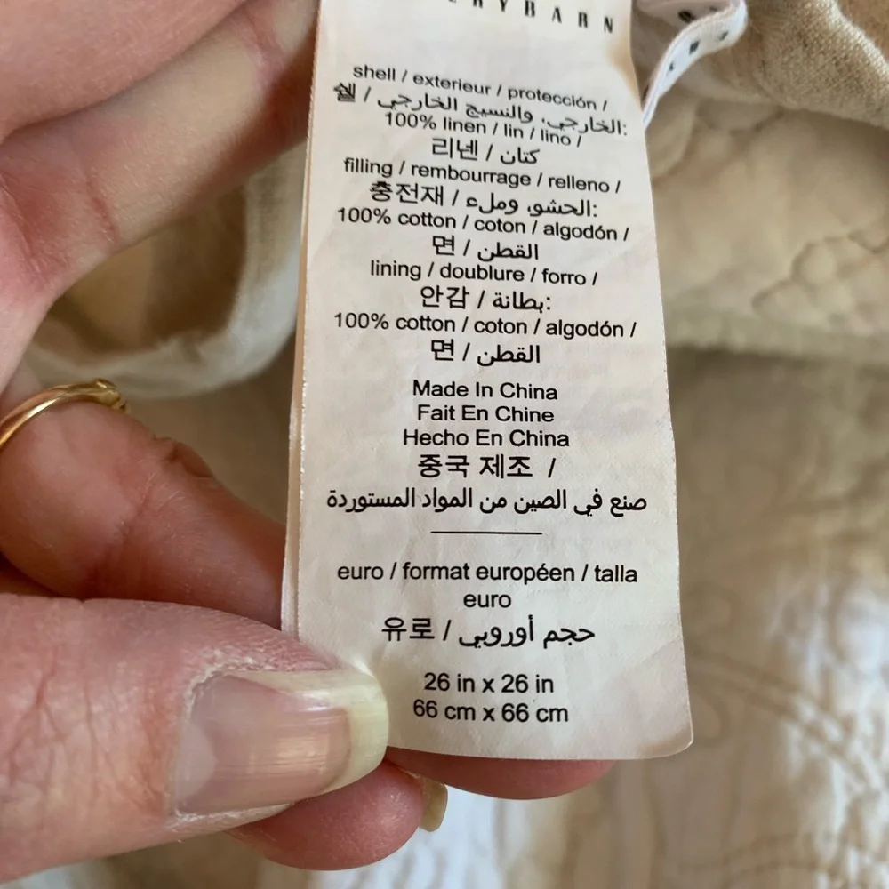 Pottery Barn Euro shams